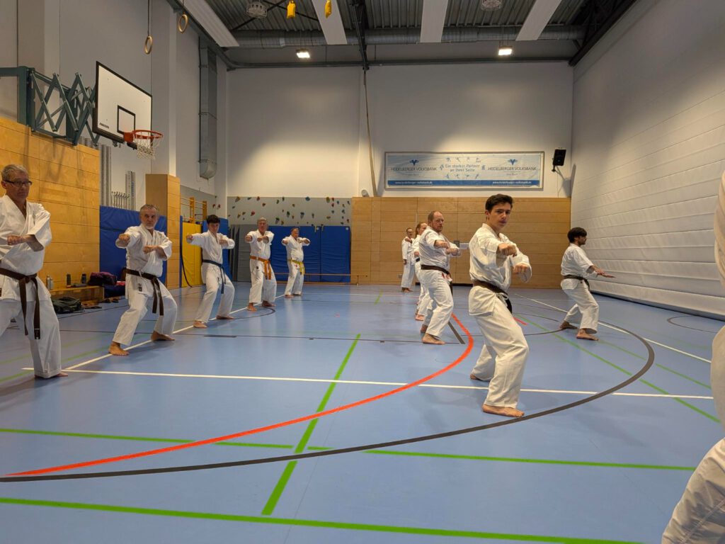 Tekki Shodan