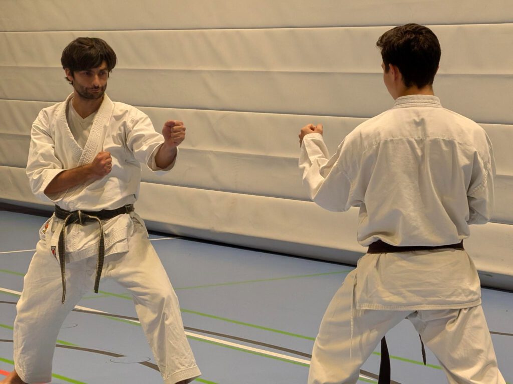 Jiu Ippon Kumite