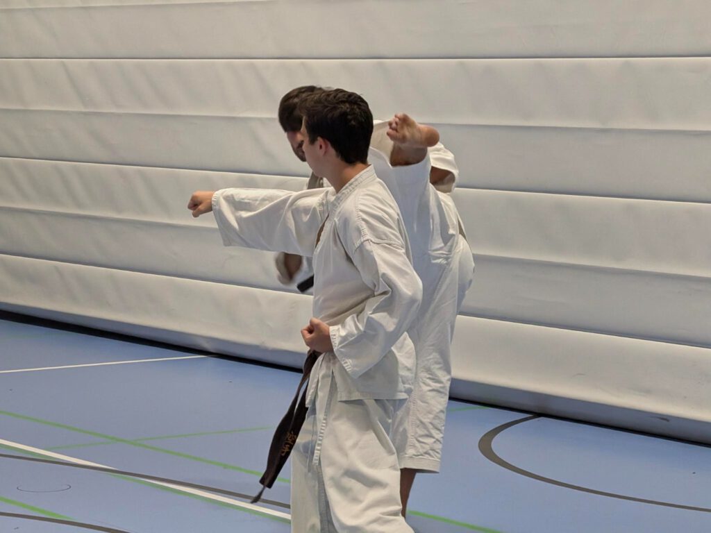 Kihon Ippon Kumite