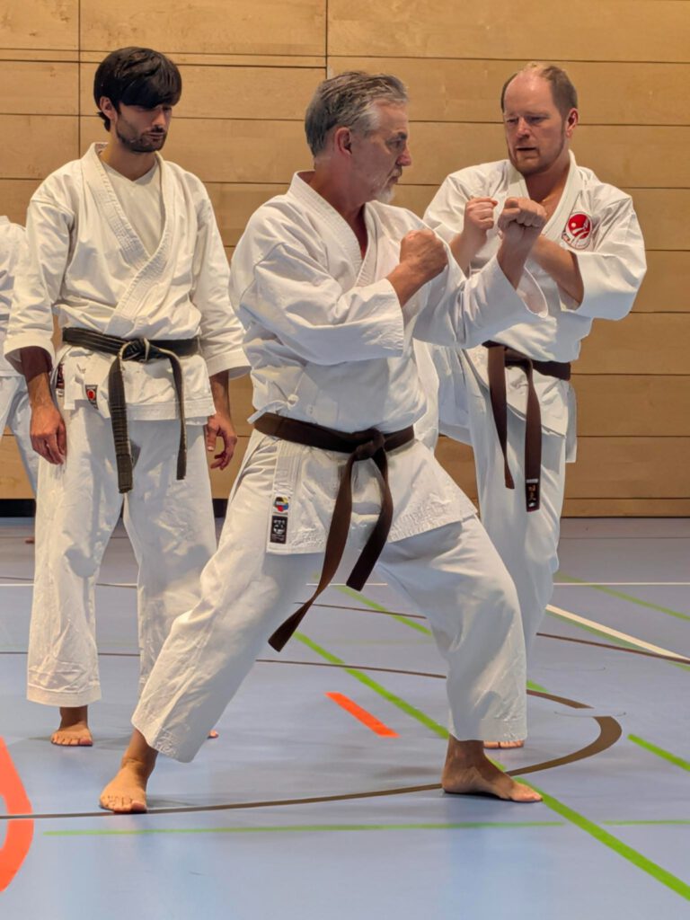 Jiu Ippon Kumite