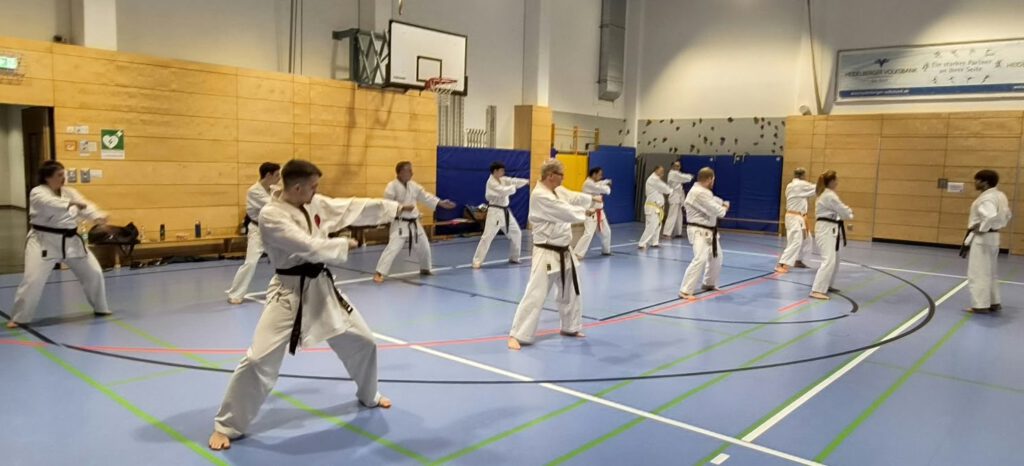 Tekki Shodan
